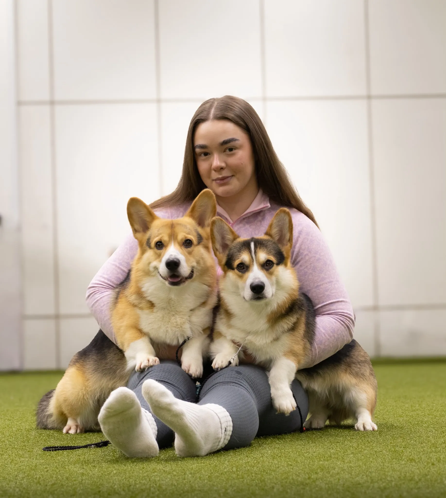 Kerttu Kallinen istumassa nurmimatolla kahden welsh corgi pembroken kanssa
